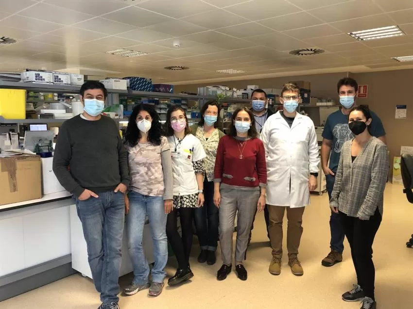 Investigadores del IMIB descubren que una alteración genética está asociada a la progresión de cánceres poco comunes