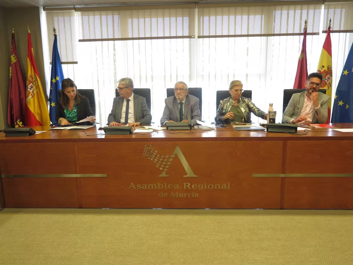 La Asamblea convalida el decreto que regula la quema controlada de restos vegetales para evitar plagas