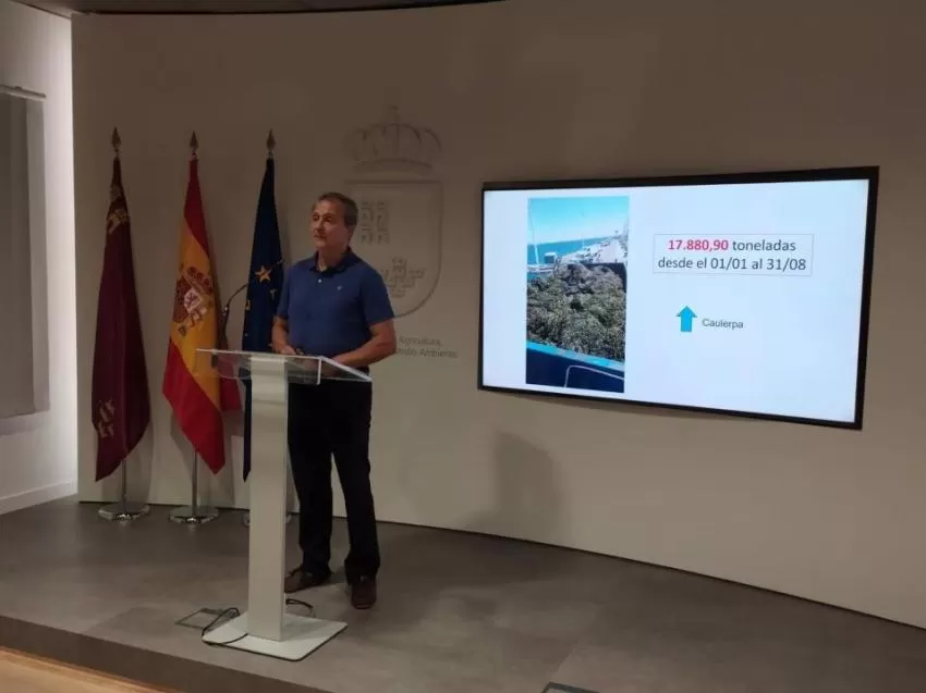 La biomasa extraída del Mar Menor asciende a 17.880 Tn, con 373 Tn de nitrados y 12,25 de fósfatos