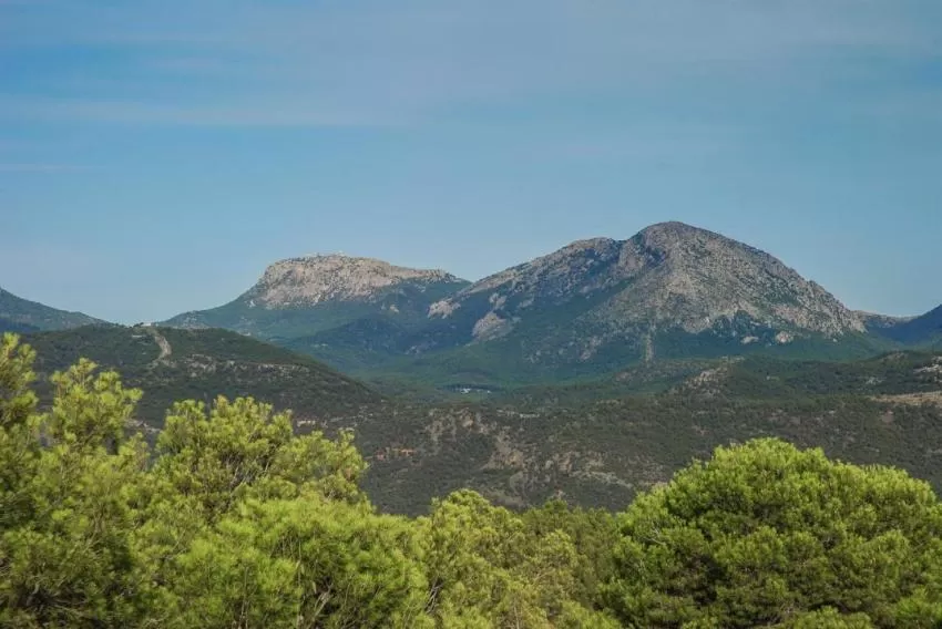 La Comunidad amplía hasta el lunes 8 de agosto la prohibición de acceso a vehículos a los montes públicos