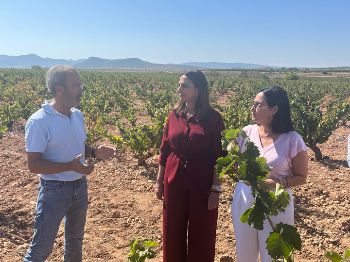 La Comunidad destina 775.000 euros a 300 viticultores en apuros por baja producción