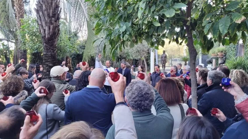 La Comunidad impulsa el cultivo de olivo ecológico con una inversión de 2,5 millones para mantener 6.400 hectáreas