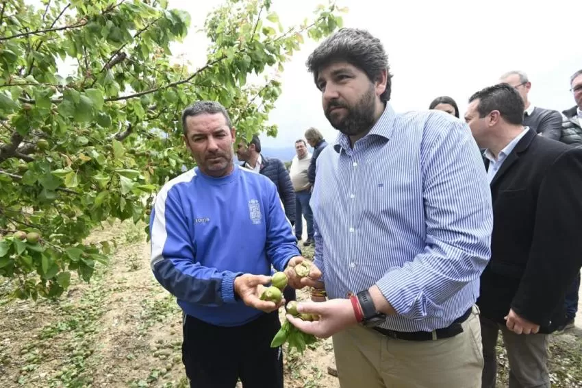 La Comunidad sufragará el coste del tratamiento para evitar mayores pérdidas en los árboles dañados por el granizo
