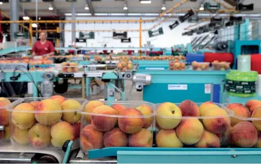 La desesperación de la plantilla del grupo Molinense provoca una huelga de 13 días