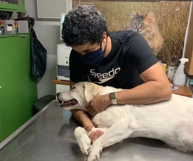 La emotiva despedida del coach Enhamed a su perra guía fallecida