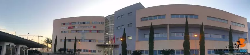 La Facultad de Ciencias del Deporte de la UMU figura entre las 150 mejores del mundo, según el Ranking de Shanghai