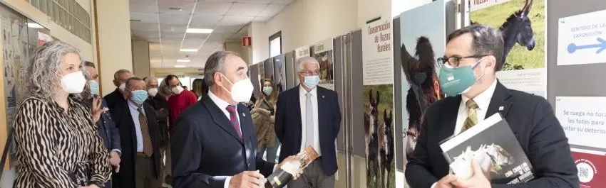 La Facultad de Veterinaria de la UMU acoge este jueves una conferencia sobre la cría caballar en las Fuerzas Armadas