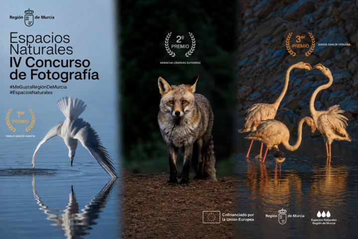 La fauna de la Región destaca en las fotografías ganadoras de la cuarta edición del concurso #MeGustaRegiónDeMurcia