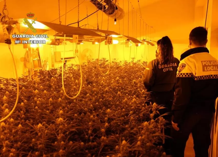 La Guardia Civil desmantela en Puerto Lumbreras una plantación 'indoor' de marihuana