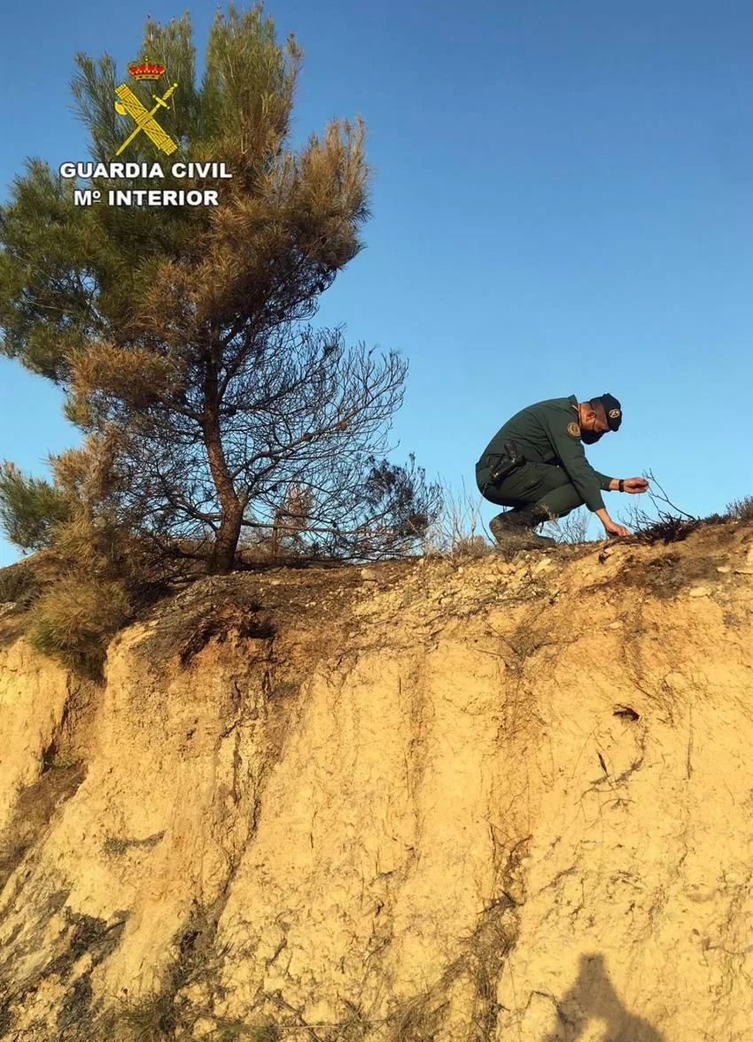 La Guardia Civil investiga a una persona por originar un incendio forestal en Barinas