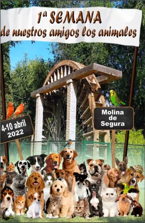 Llega la primera semana de 'Nuestros amigos los animales' de Molina de Segura