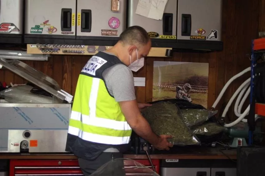 La Policía desmantela en Jumilla uno de los cultivos de droga con mejor tecnología de la Región