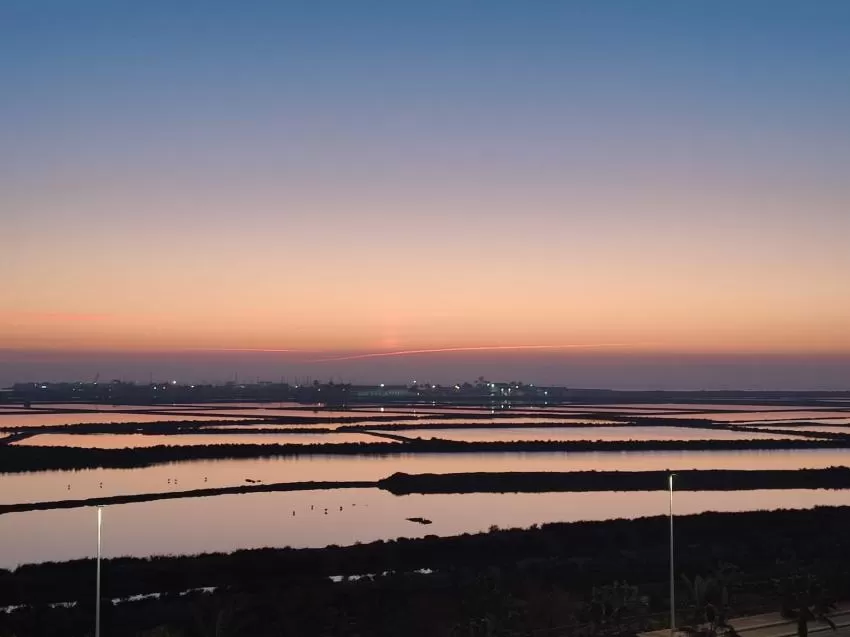 La Región de Murcia celebra el Día de los Humedales con rutas guiadas en familia