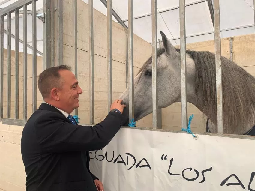 La Región exhibe en la Feria del Caballo de Lorca su apuesta por el sector del ganado equino
