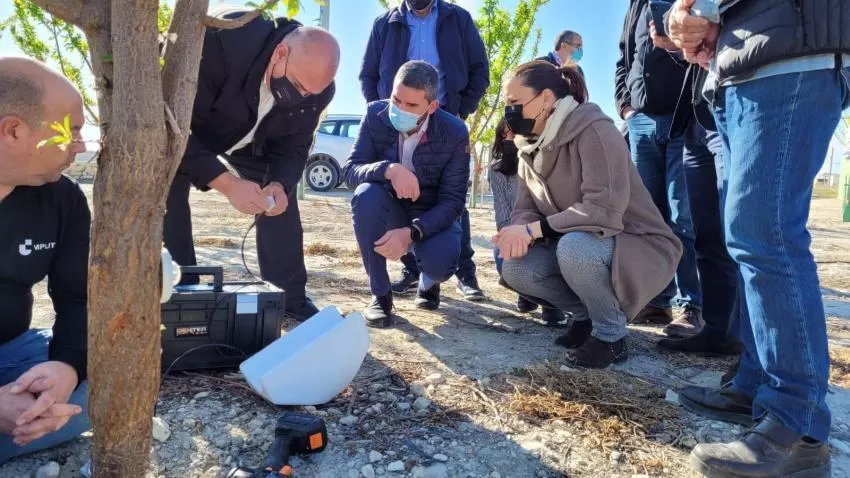 La Región, pionera en Europa en el uso de sensores inyectados en árboles frutales para reducir el consumo de agua