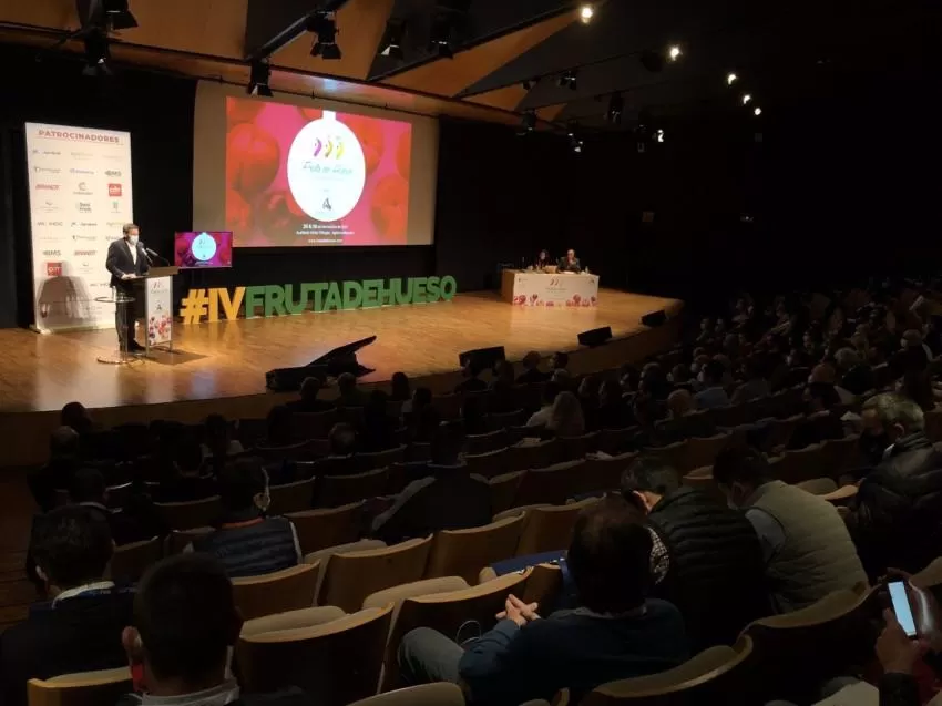 La Región se consolida como la primera exportadora de albaricoque de España con 37.082 toneladas, el 39% del total