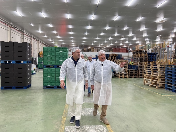 La sandía de la Región supera los 120 millones de euros en exportaciones y consolida su liderazgo en los mercados europeos