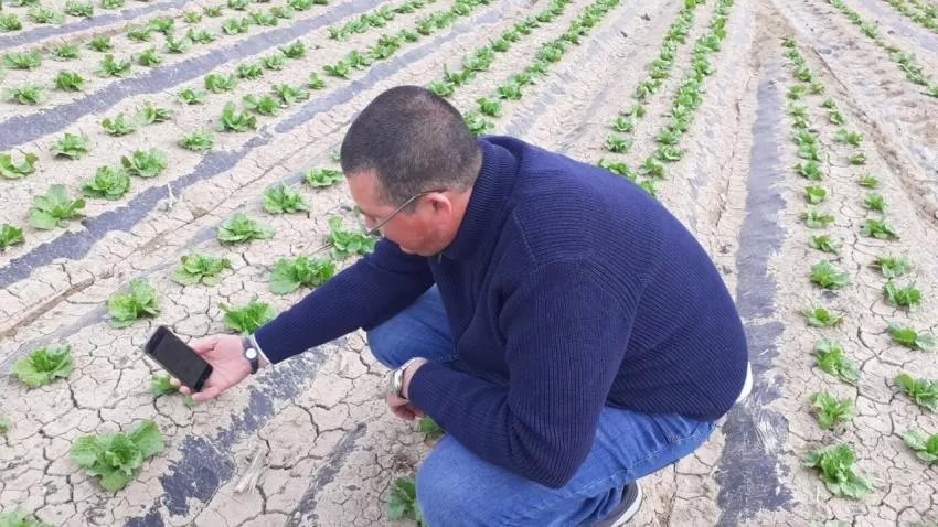 La UPCT y empresas agrícolas lorquinas crean una plaraforma para facilitar una fertirrigación precisa