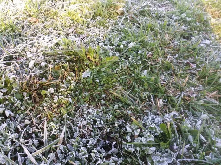 Las lluvias, el frío y las nevadas marcarán el primer fin de semana de marzo y los próximos días