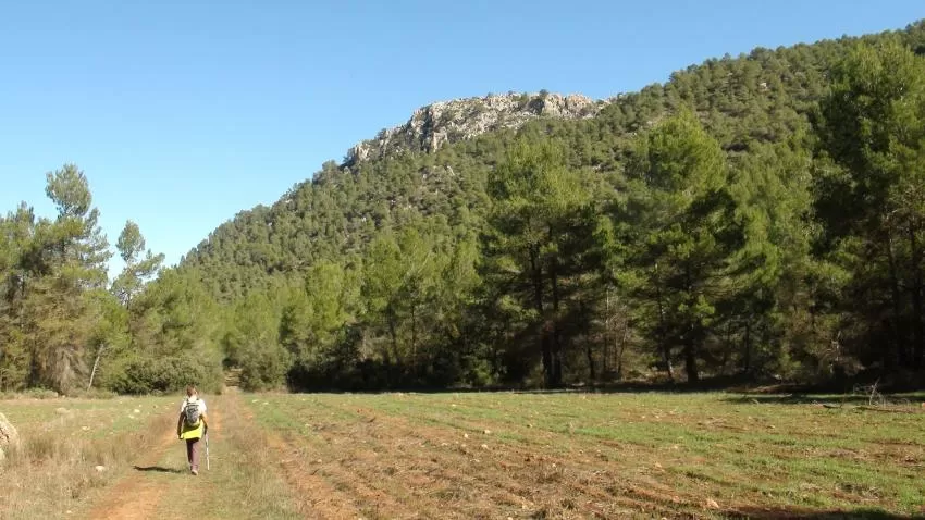 Las reservas de turismo rural en Noroeste y Valle de Ricote alcanzan el 80% en Semana Santa, según Ruralmur