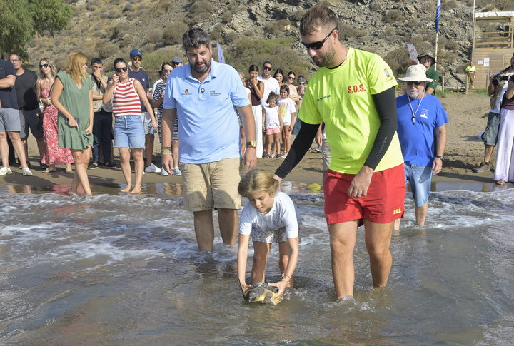 López Miras destaca el apoyo social para recuperar y tratar a las tortugas bobas rescatadas en el litoral regional