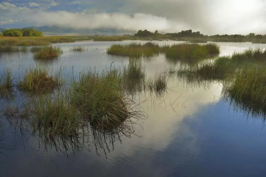 Los Alcázares acogerá la primera bioferia del Mar Menor los días 26 y 27 de diciembre