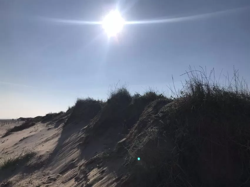 Meteorología constata el mes de diciembre más cálido de los últimos 61 años en la Región de Murcia