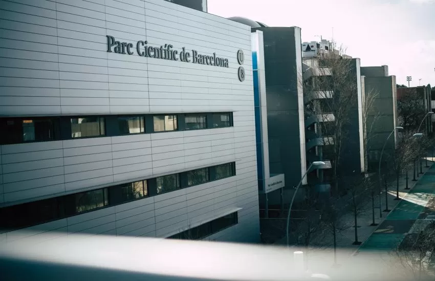 Ministerio de Derechos Sociales pide a la Generalitat  frenar el sacrificio de 32 perros en un laboratorio