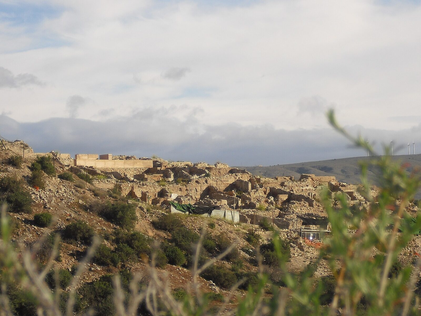 Museo de Siyasa