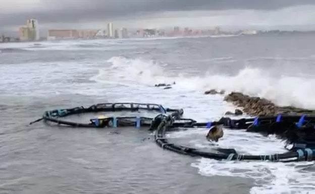 Olas históricas en la Región, casi 6 metros de altura en Cabo de Palos