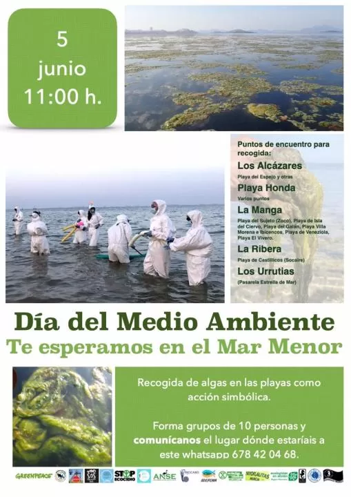 Organizaciones en defensa del Mar Menor recogerán algas este domingo como acto protesta por el estado de la laguna