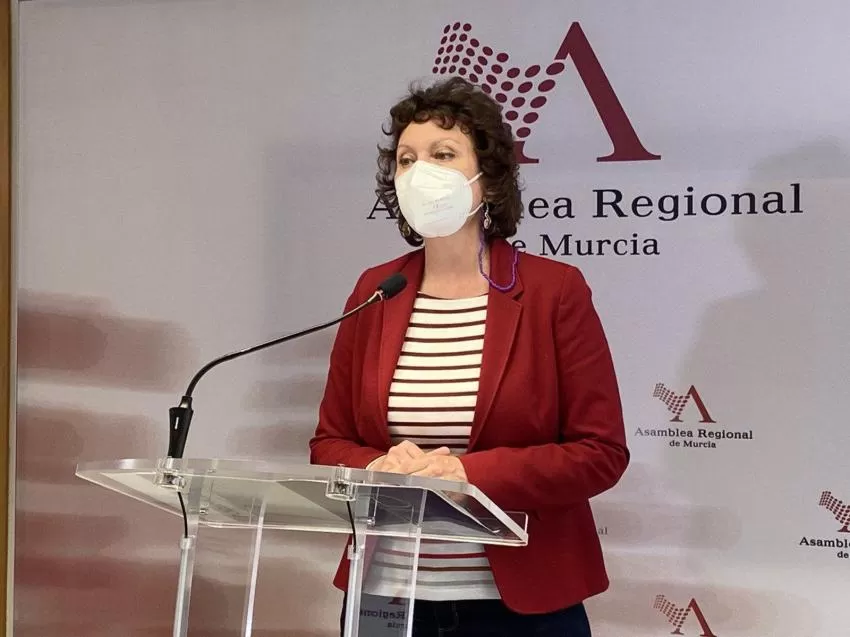 Podemos apuesta por "revertir las políticas de desindustrialización y precarización del empleo en Navantia"