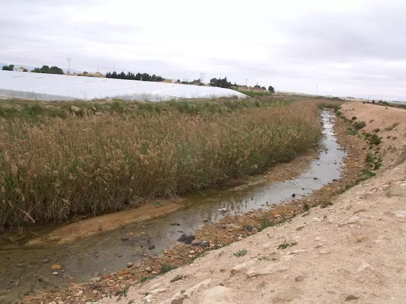 Podemos tilda de "parche inservible" los biorreactores en El Albujón y exige "una estructura efectiva" contra vertidos