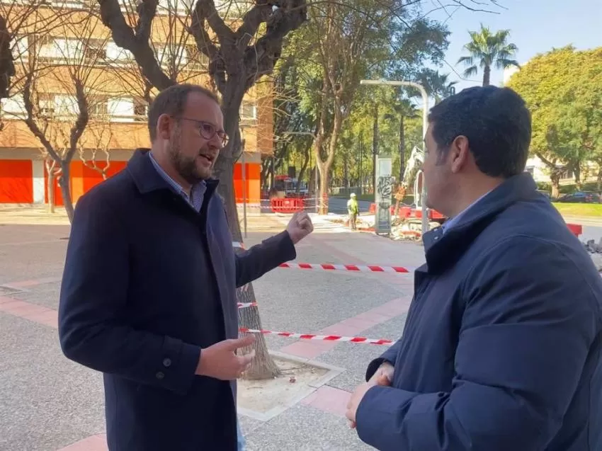 PP de Murcia: "Los socialistas continúan imparables con la tala de árboles en el municipio"