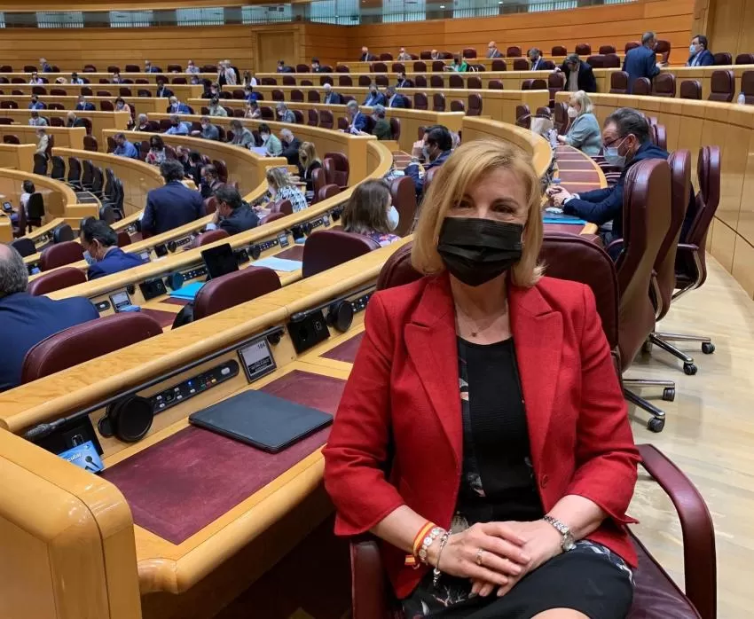 PPRM tilda de "hachazo" la reforma de las pensiones del Gobierno central y apuesta por la 'mochila austriaca'