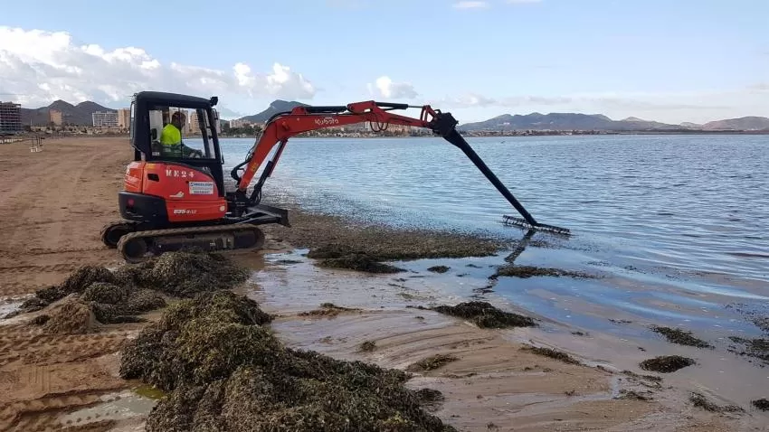 Primera jornada de trabajo de la máquina que retira biomasa en Playa Paraíso y Playa de los Alemanes de La Manga