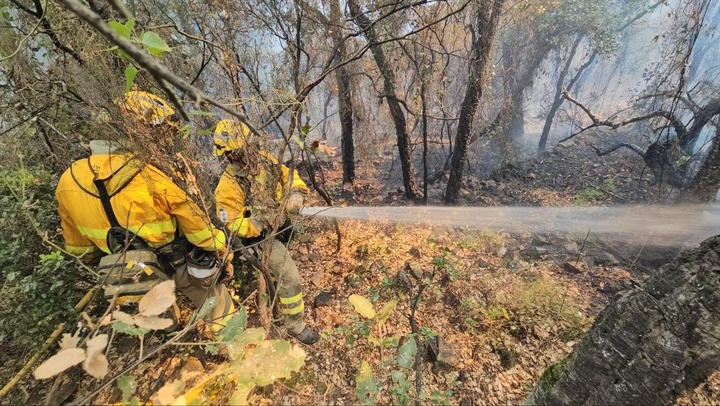 Regresa a la Región el dispositivo del Plan Infomur que ha colaborado en la extinción del incendio de la Vall D'Uixó