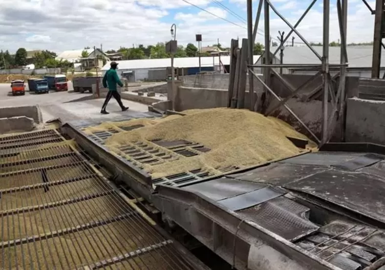 Rusia y Ucrania firman la reanudación de las exportaciones de grano bajo la supervisión de Turquía y la ONU