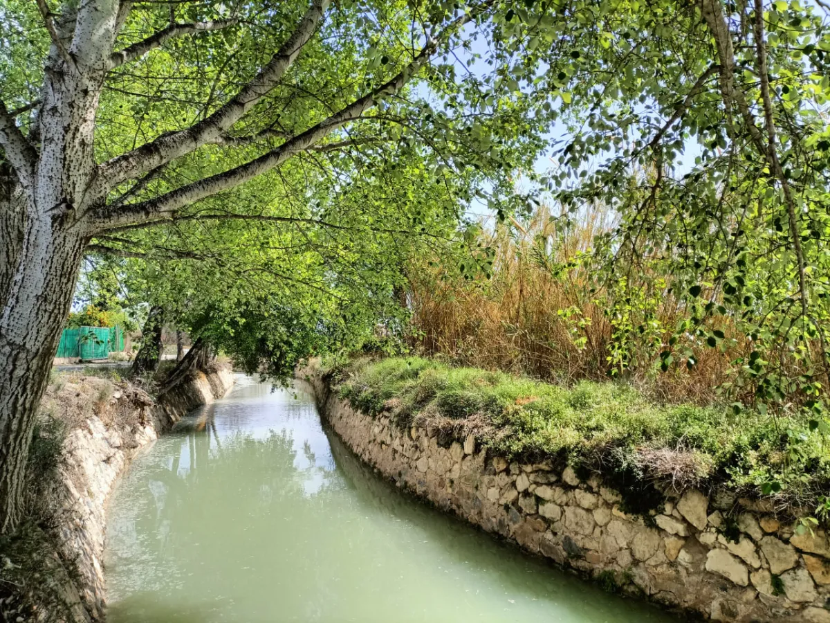 Rutas gratis por la huerta y la sierra de Murcia en noviembre: Acequia de La Alquibla, Los Monreales y Sierra de los Villares
