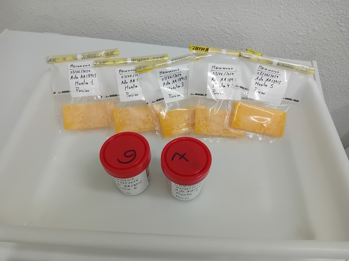 Salud ofrece recomendaciones para evitar posibles casos de salmonelosis por el aumento de las temperaturas