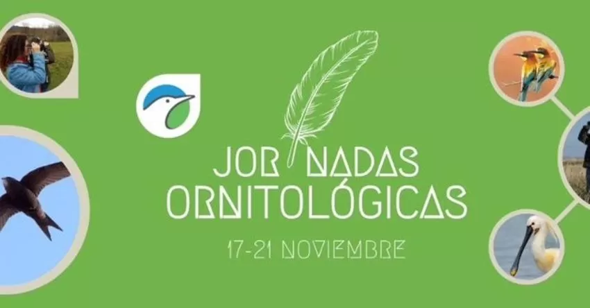 SEO/BirdLife celebra sus Jornadas Ornitológicas 2021 "más pajareras" del 17 al 21 de noviembre