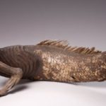 sirena4