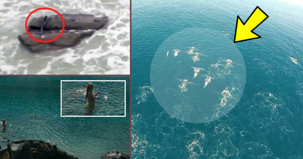Asombroso! los avistamientos de Sirenas… ¿Son Reales? sirenas-reales-leyendas-historias