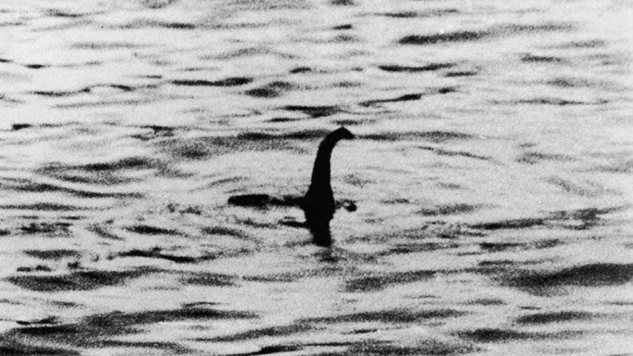El monstruo «real» del Lago Ness encontrado en la Antártida: un fósil de 70 millones de años El monstruo "real" del Lago Ness encontrado en la Antártida: un fósil de 70 millones de años