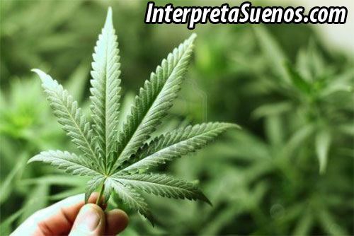 significado-de-sonar-con-marihuana