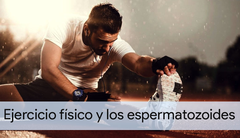 actividad física y calidad del semen