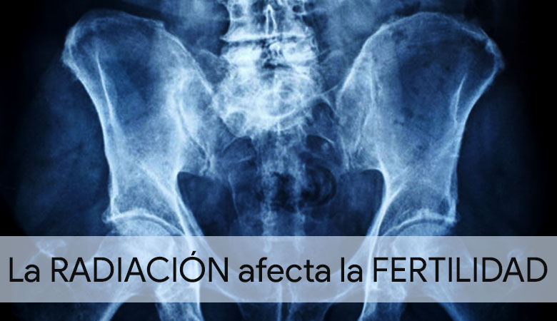 las radiación del wifi influye en los espermatozoides