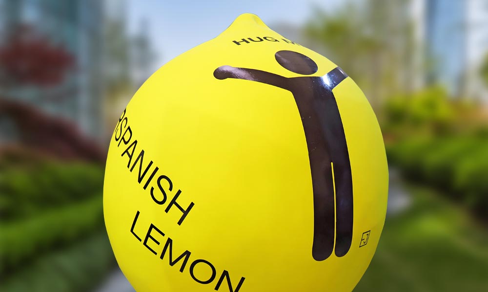 Obra de Elizabeth Junghans