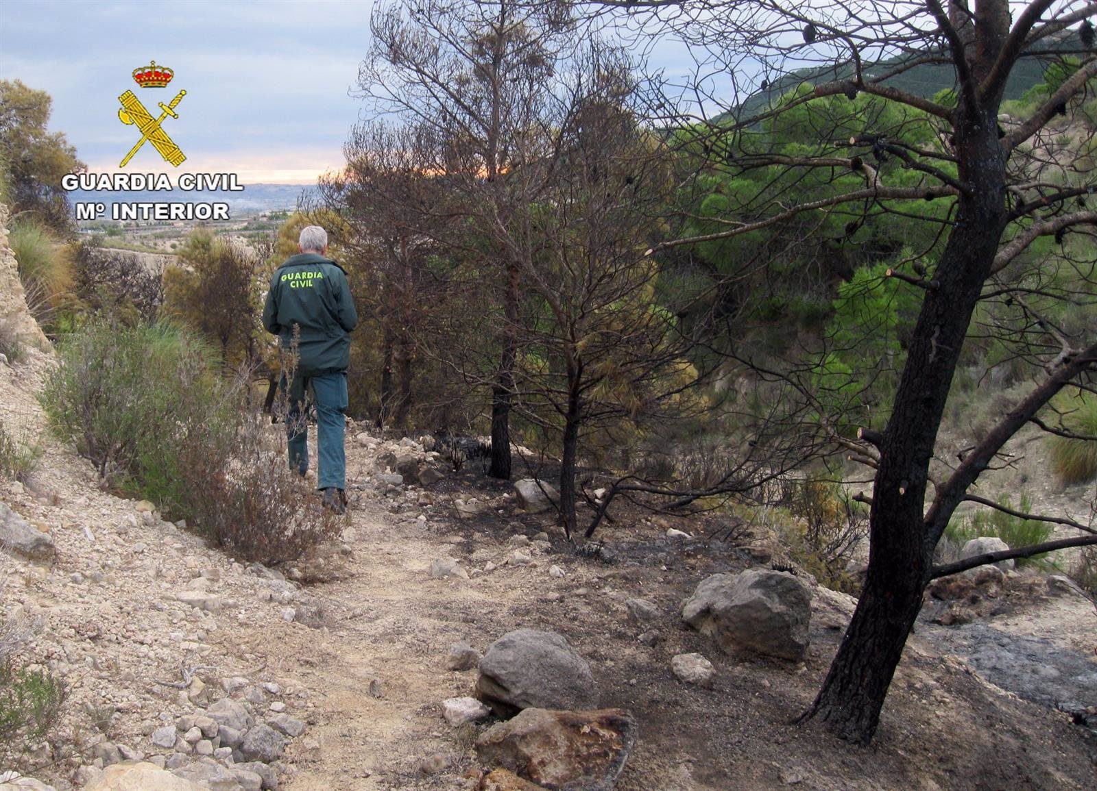 Guardia civil esclarece un incendio forestal ocurrido en ojos con la investigacion de un agricultor