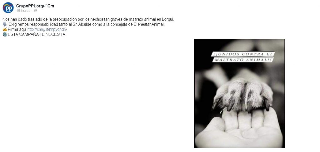 maltrato-animal